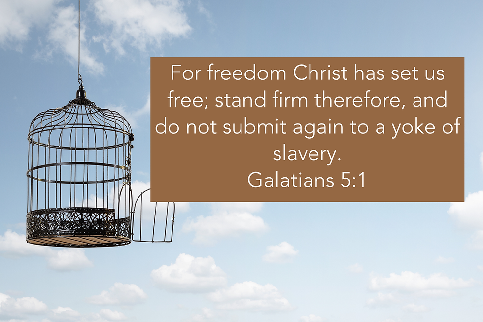 True Freedom