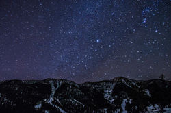 jackson-nightfinal2_orig