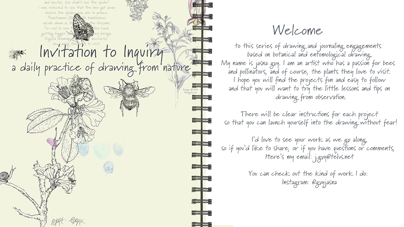 1   AN-Invitation-Welcome-page-new-copy.