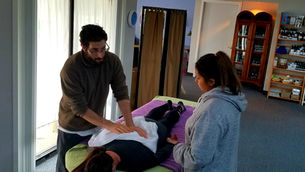 MASSAGE MENTOR- practice building