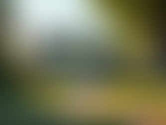 Home Realty Program: Supporting Fixed-Income Individuals