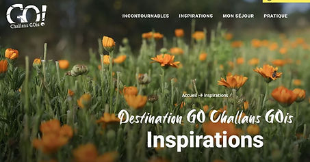 OT Challans inspirations.JPG