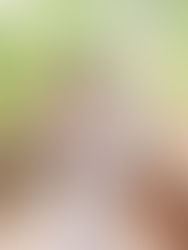 A Colorful Celebration: Sarah and Nick’s Fun-Themed Wedding at Rocky’s Lake Estate