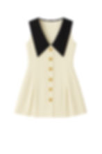 Statement Collar Button A-line Mini