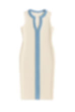 Fringe Trim Sheath Dress