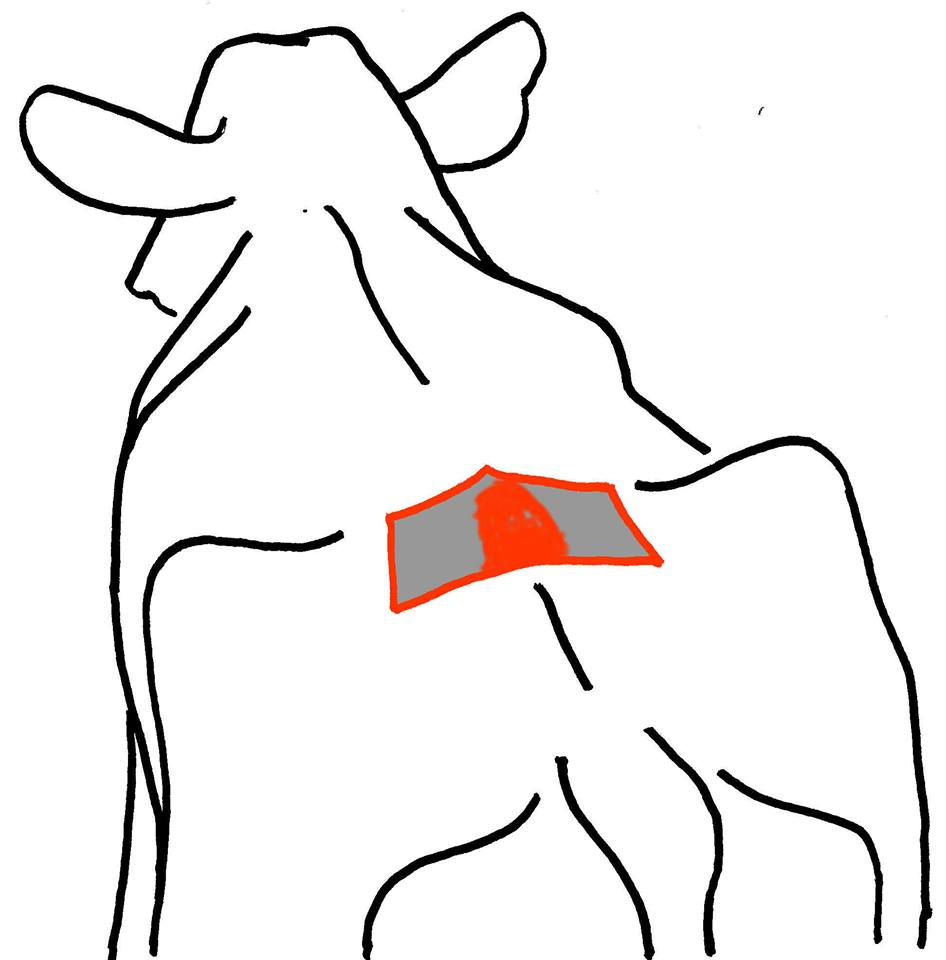 Miniatura: Detector De Celo Bovino Fasco Ap 3 Sobres 50 Unidades