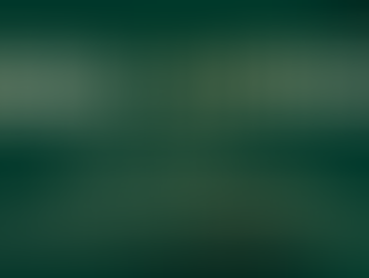 Missão CISBRA | Estados Unidos – Orlando & Miami