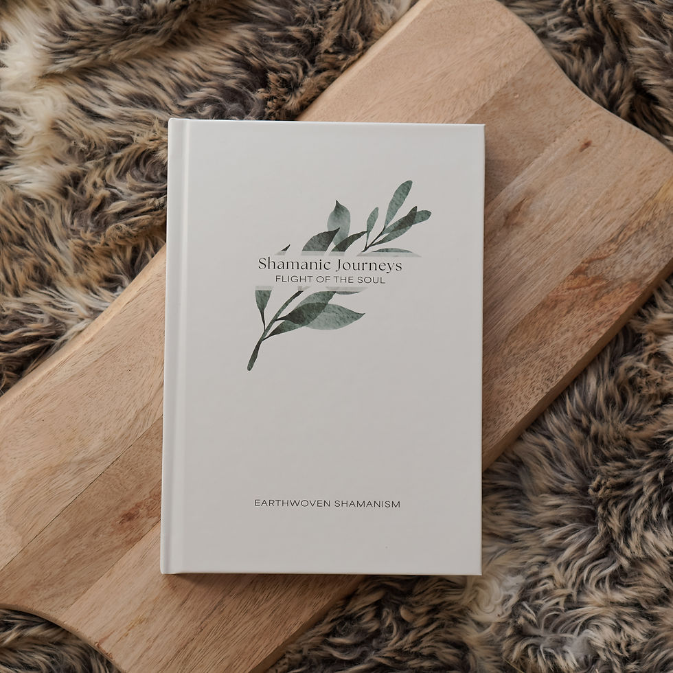 Front cover of Shamanic Journeys: Flight of the Soul, a shamanic journal