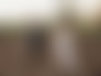 How to Plan your Wedding Timeline