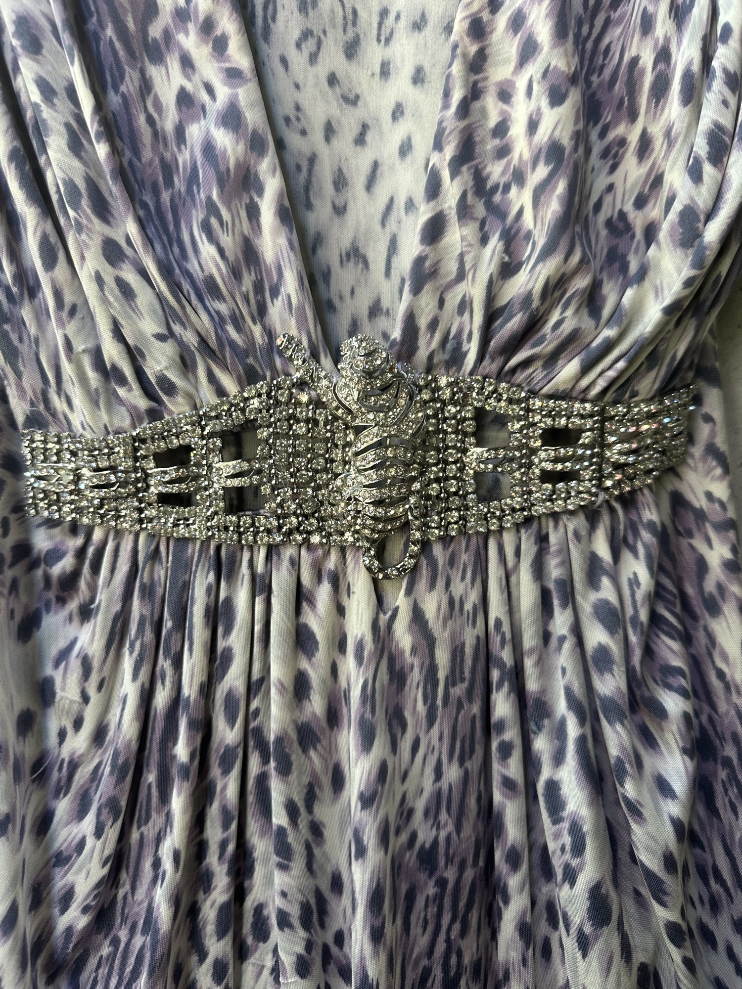 2000s Sky Leopard Print Plunge Top with Rhinestone Belt, image 3