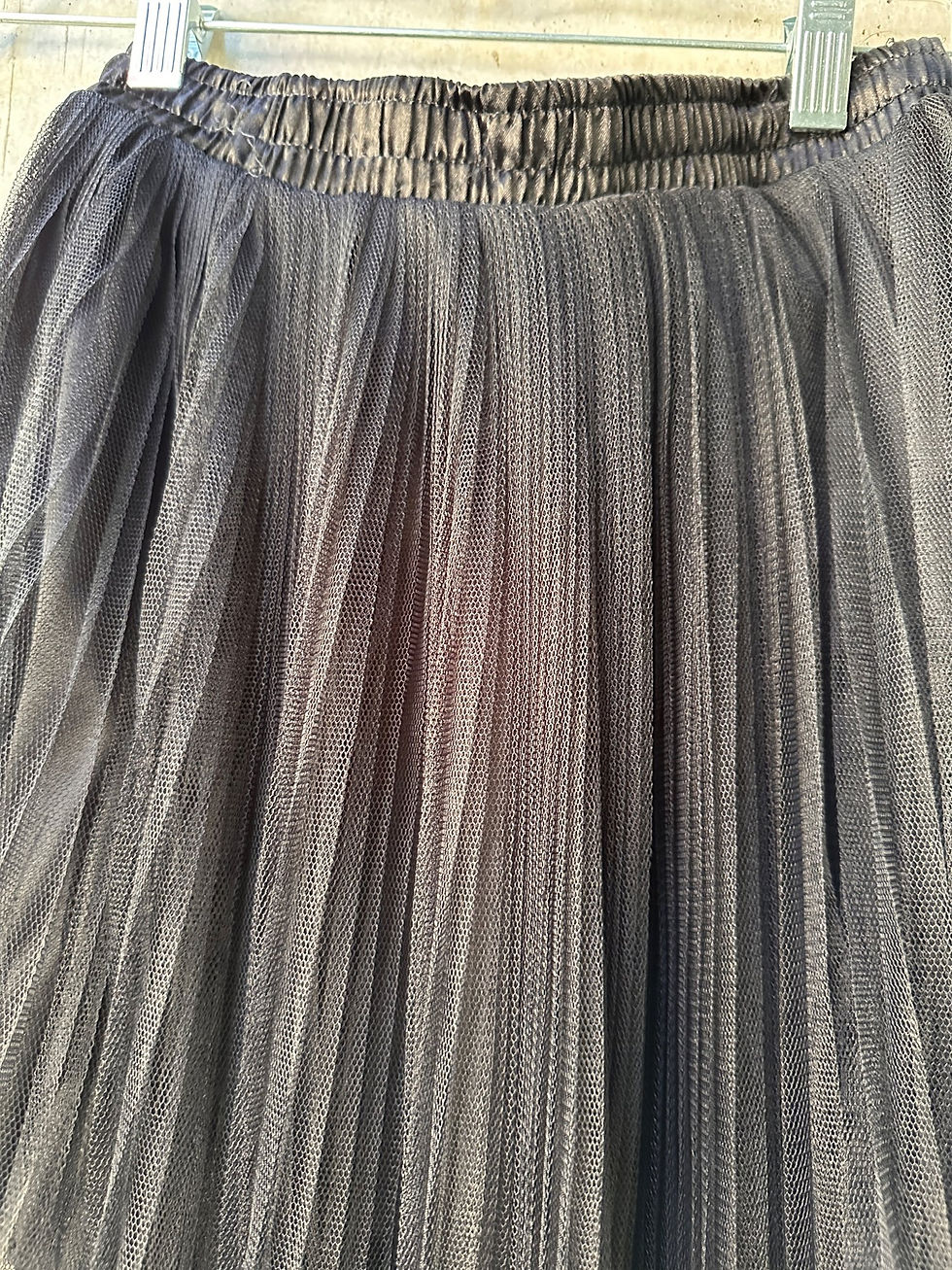Black Tulle Pleated Skater Skirt