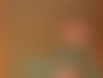 Behind the Chinoiserie: 