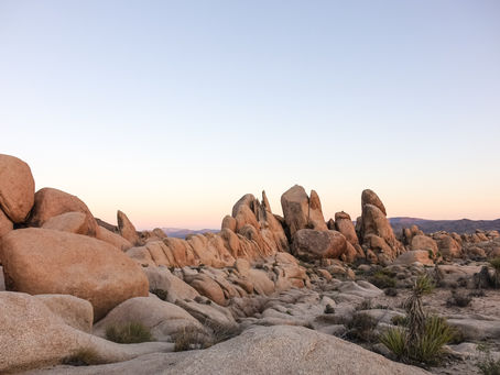 Desert Vibes in Joshua Tree