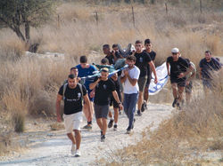 מקד"צ ידידיה