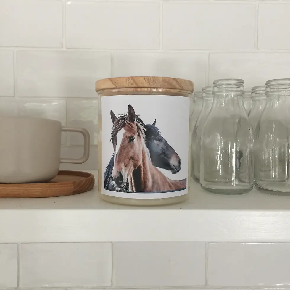 Thumbnail: Soul Candle - The Horse Candle