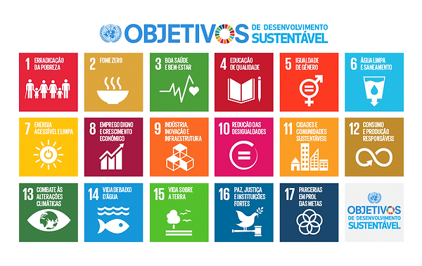 A busca por soluções sustentáveis.