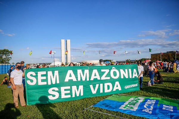 Sem a Amazônia, não há vida!