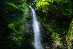 滝3398-1_2000秒small-2