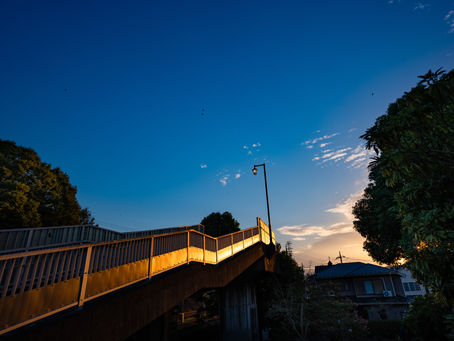 夕暮れ時の輝き