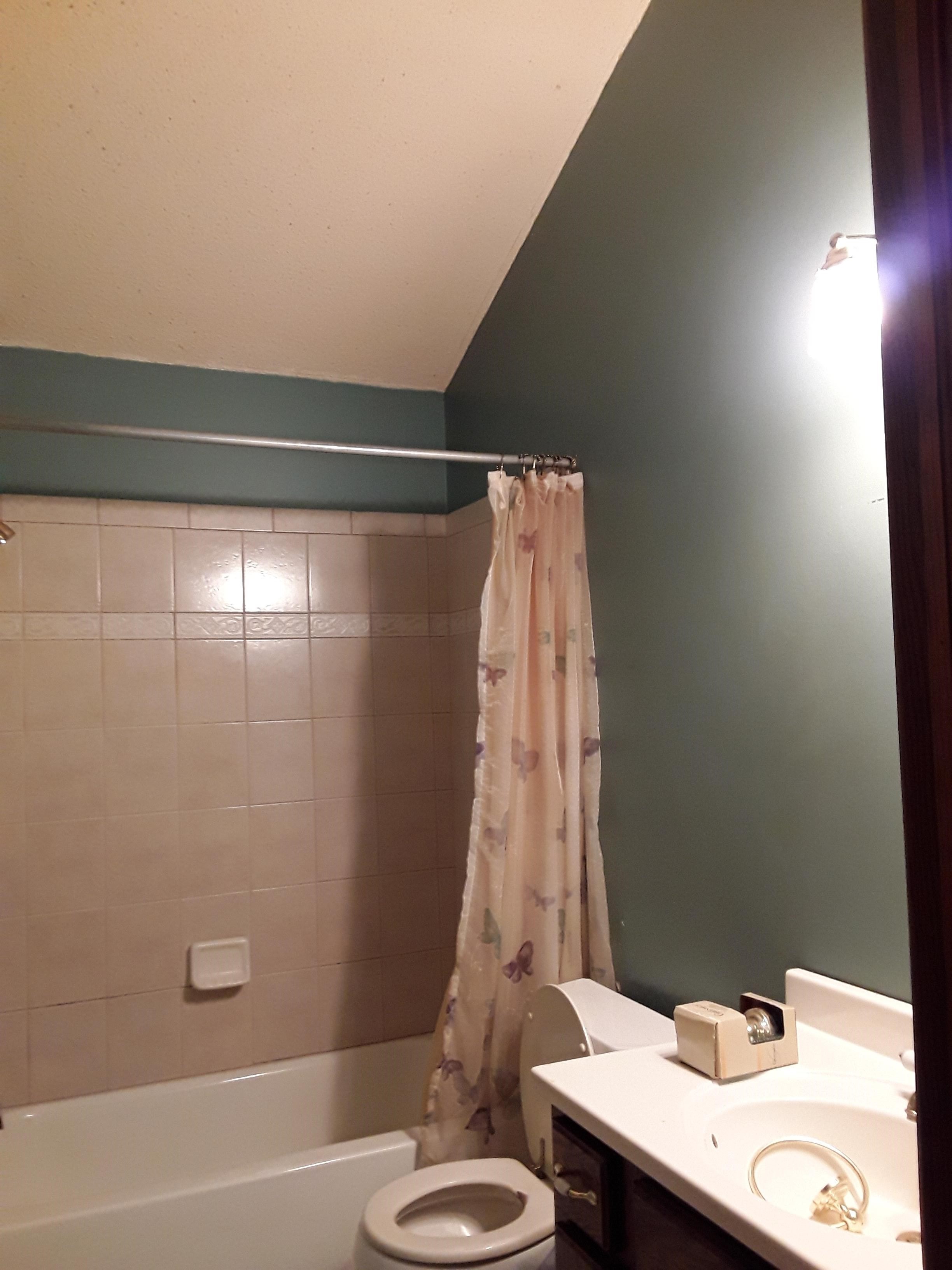 Bathroom Before
