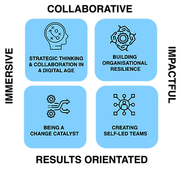 Tranzforms Executive Labs.png