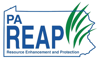 PA-REAP-logo.png