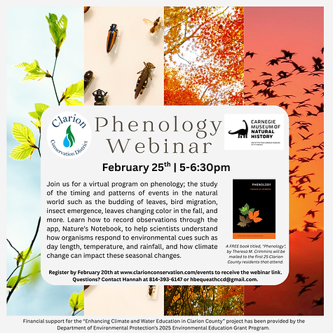 Phenology Webinar Advertisement (1).png