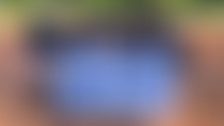 Little League Germany Champions