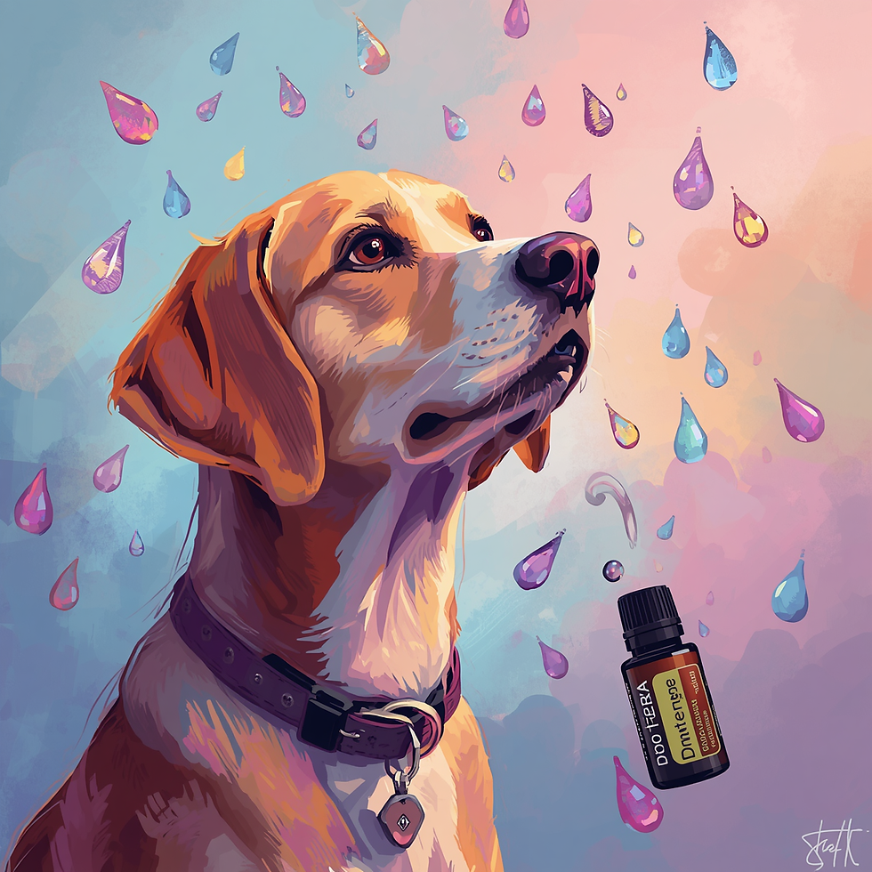 Huile essentiel DoTERRA