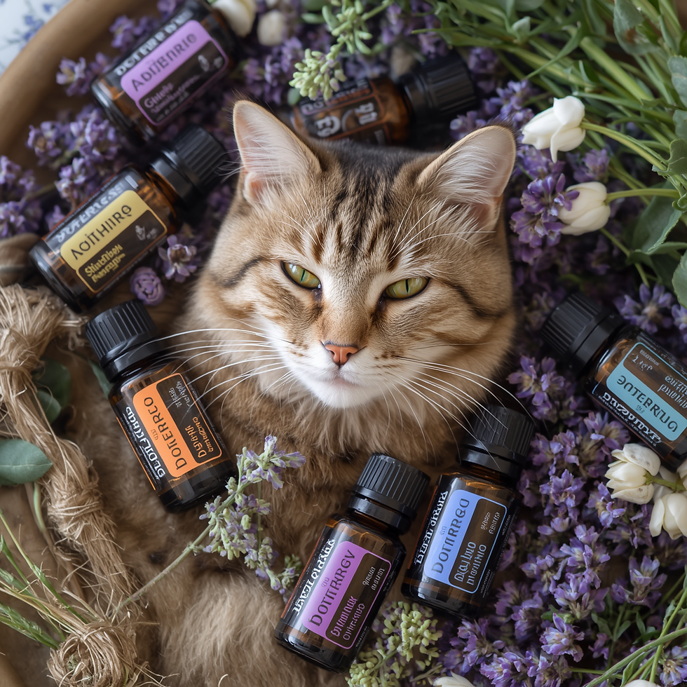Huile essentiel DoTERRA
