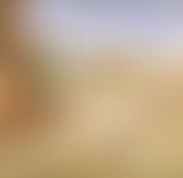 A alimentação no sul do país