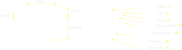 diamond anatomy all.png