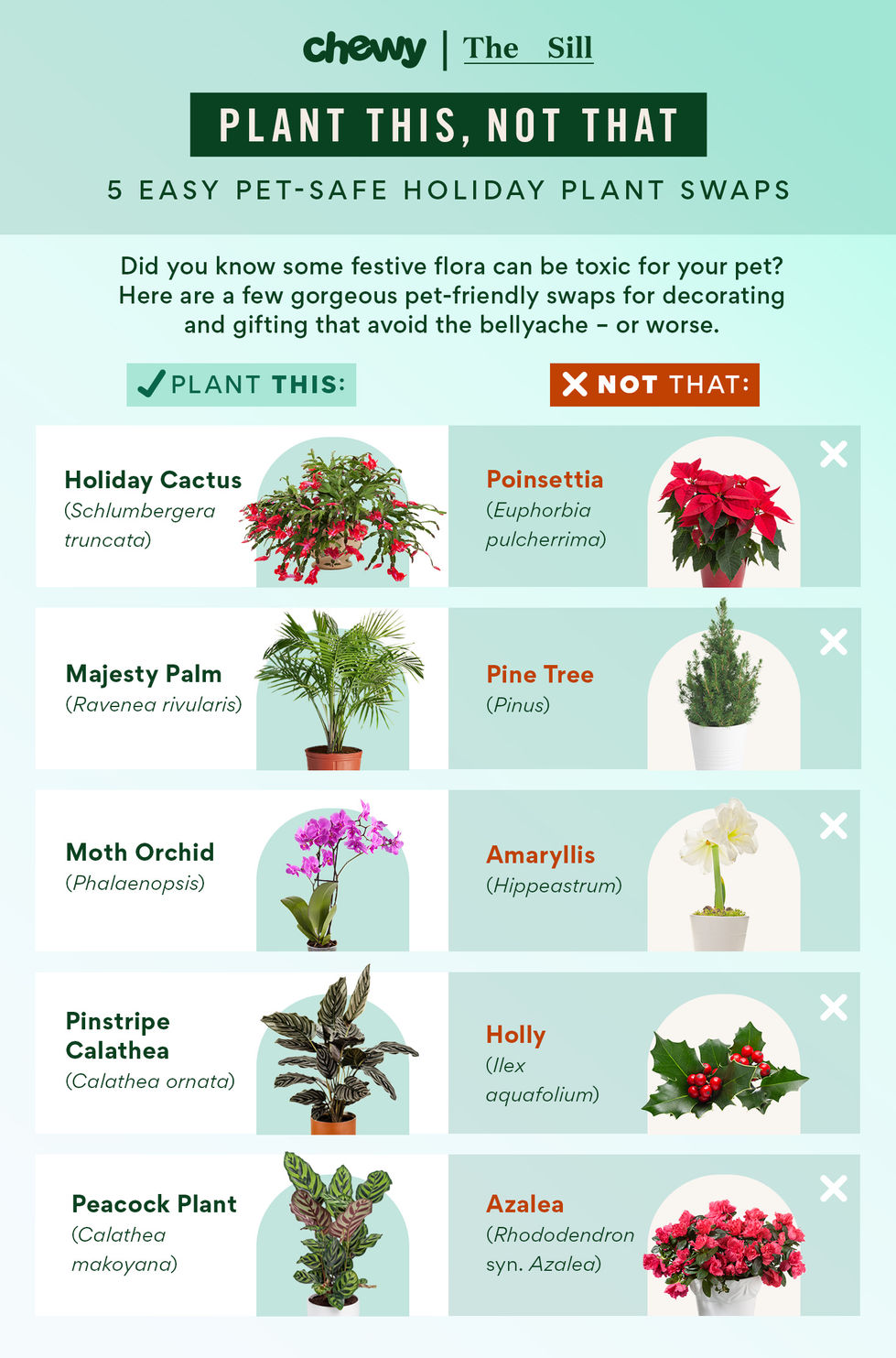 The Sill partnership plant guide