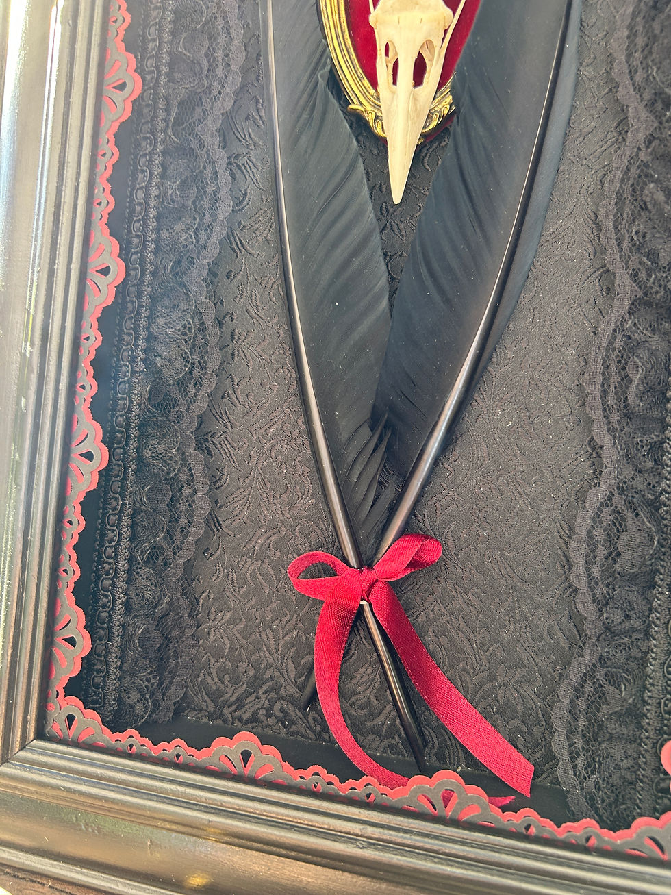 Thumbnail: Crow Skull & Feathers in Shadowbox