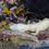 Thumbnail: Ghecko Display (Hemidactyylus frenatus)