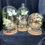 Thumbnail: Butterfly, Bird Nest & Eggs Glass Display Dome