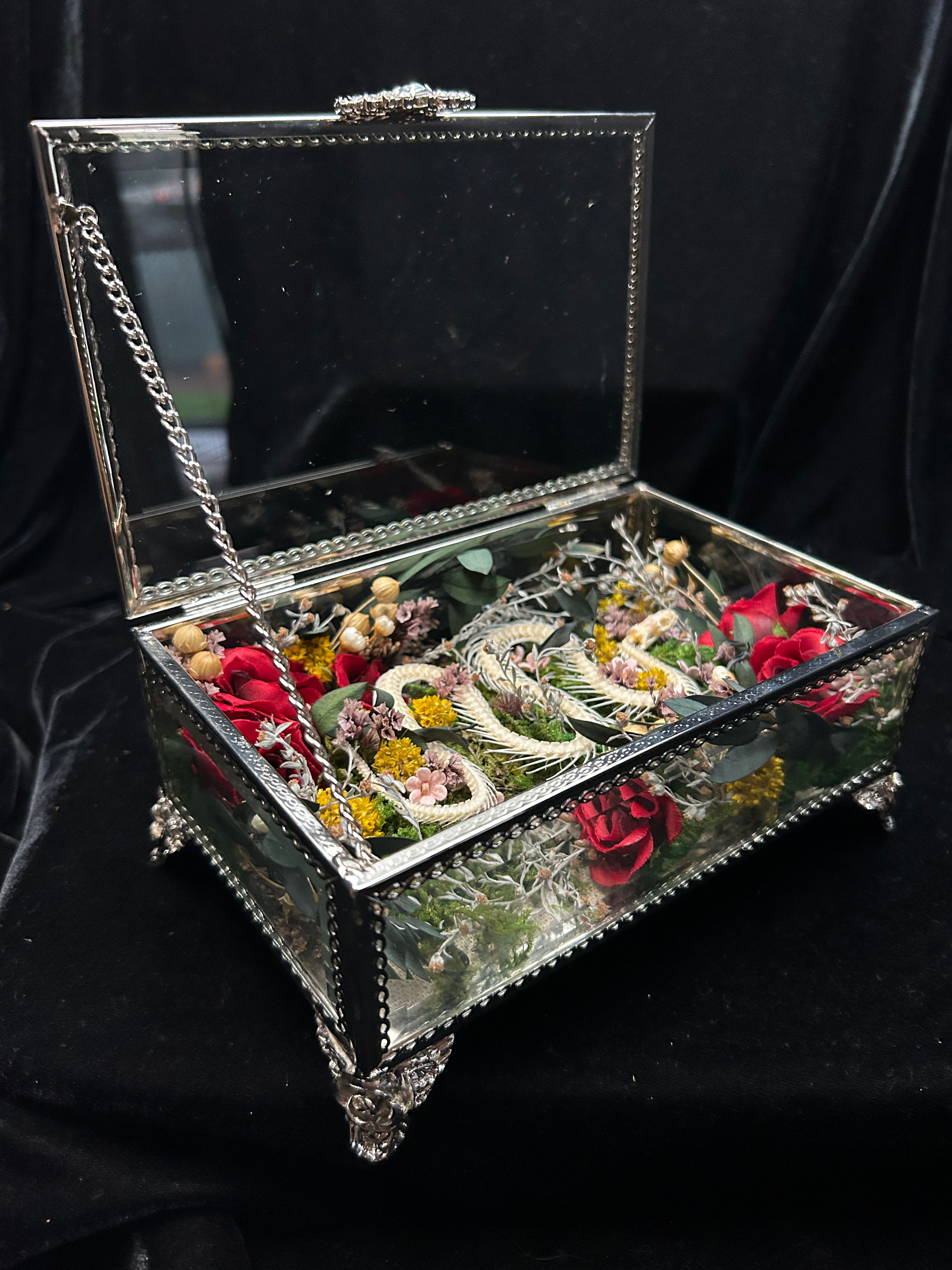 Snake Skeleton with Roses in Glass Casket