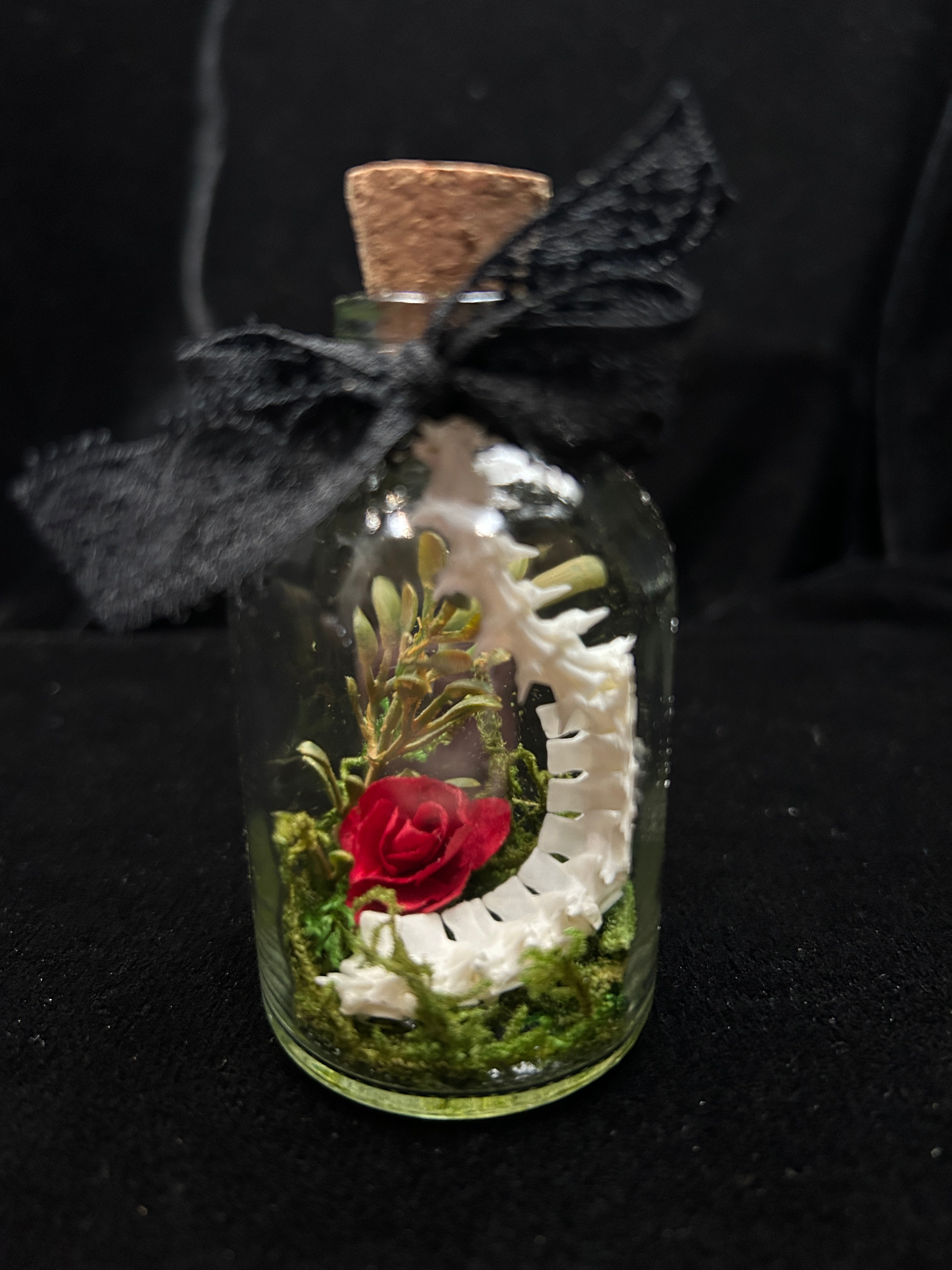 Snake Vertebra in Glass Vial