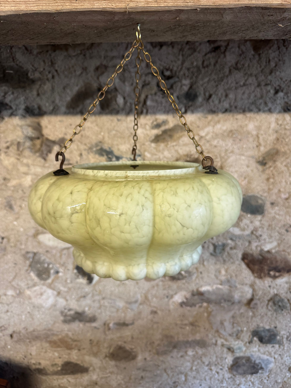 Beautiful vintage  flycatcher lampshade with chain for hanging.      0147