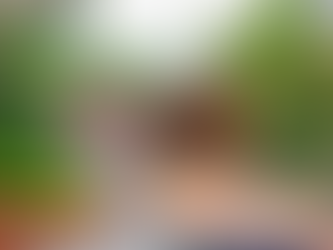 ¡No te pierdas siendo primíparo!