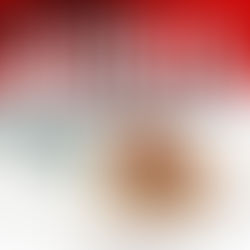 Essayez notre Burrito Barbacoa