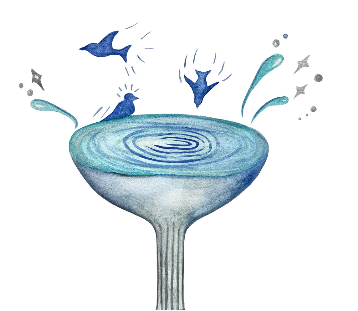 The Bird Bath Bundle