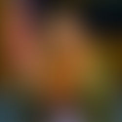 HAWAIʻI STATE SENATE CONFIRMS DANIEL M. GLUCK TO INTERMEDIATE COURT OF APPEALS