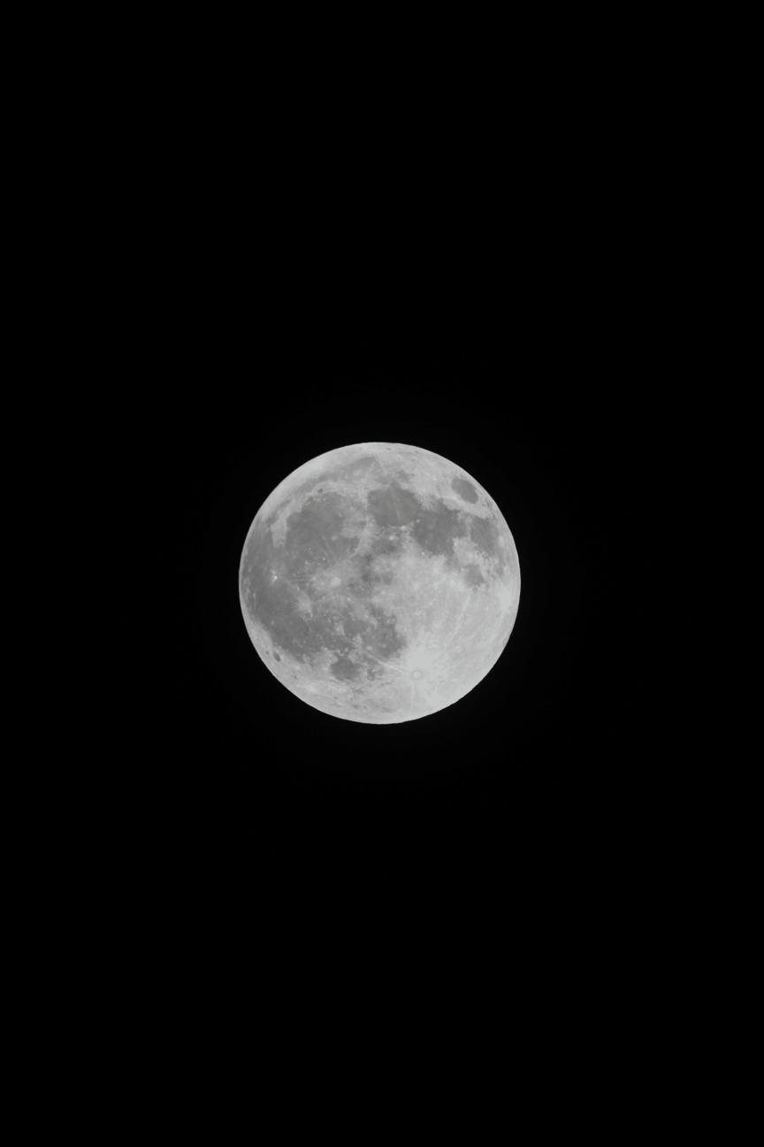 LunarEclipse_2014.gif