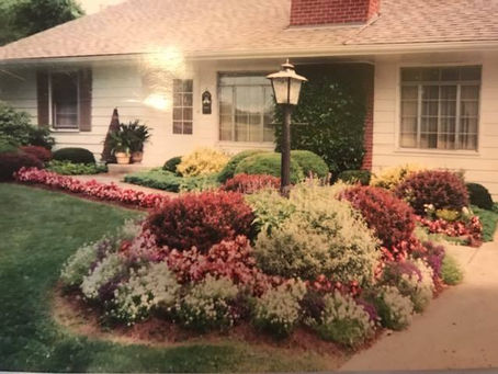 A Trip Through Nana's Garden