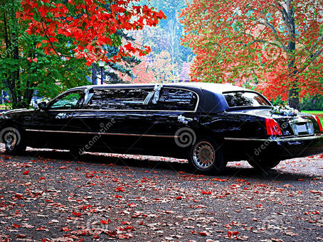 Driving Miss Teresa, Strange and Wonderful Dreams