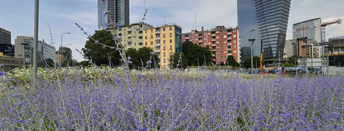 Giugno 2023 a Milano: caldo e piovoso