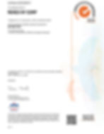 FINALCERT-Renex-Corp-NY-c617934-1-1.jpg