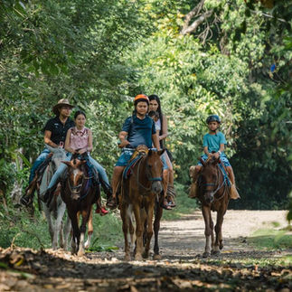 Excursión a caballo en Manuel Antonio