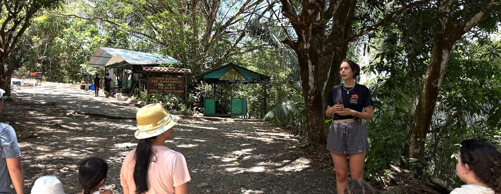 Gira "Niños salvando la selva tropical"